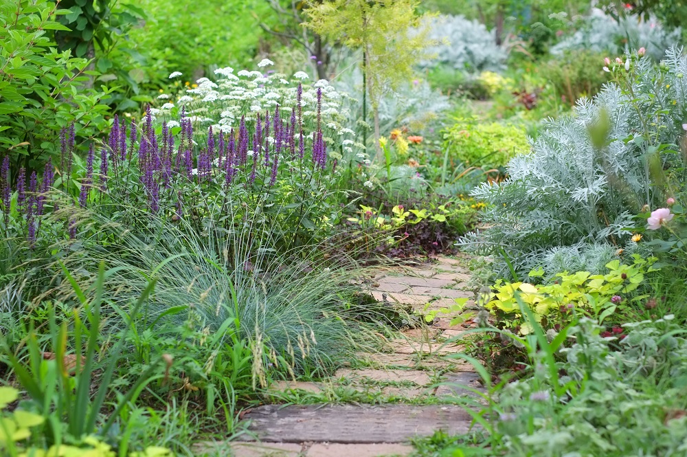 グラウンドカバー